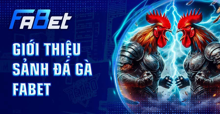 Tìm hiểu các thông tin về các sảnh đá gà FABET 